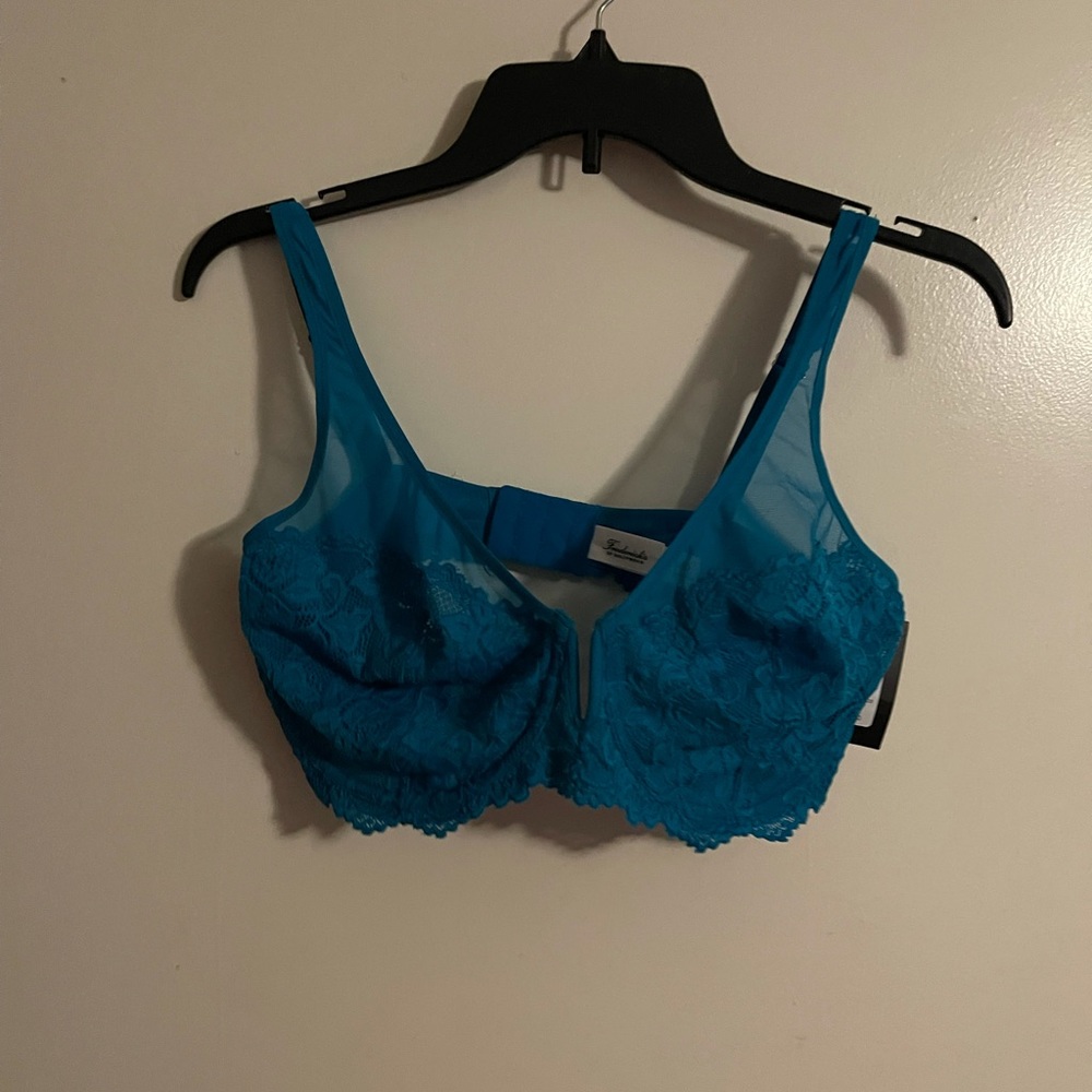 Fredericks of Hollywood bra.
